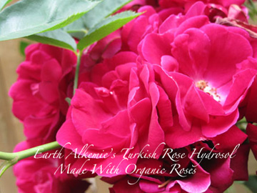 Rose hydrosol roses